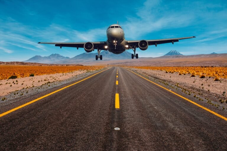 aeroplane, fly, flying, landing, transport, highway, road, sky, artwork, nature, brown sky, brown road, brown plane, brown airplane